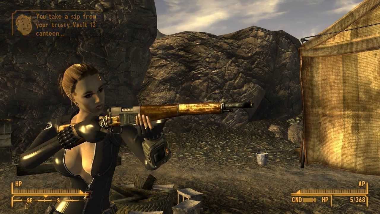 Fallout New Vegas Rifles